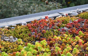 the cost of Bush End green roof installation
