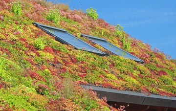 Bush End living roof systems