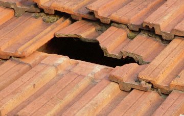 roof repair Bush End, Essex